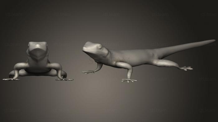 Статуэтки животных Madagascar Gecko
